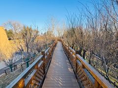 -北京大葆台遗址博物馆