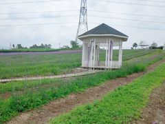 -紫颐香薰山谷景区