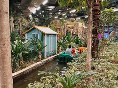 -南宫五洲植物乐园