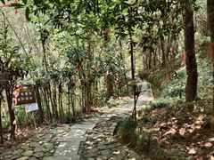 -梦姑塘文化公园