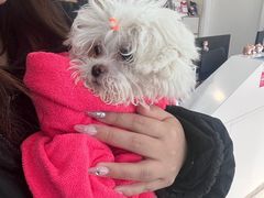 -美联众合动物医院·24h京西诊疗中心