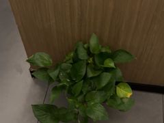 -耳湾躺式采耳SPA馆(保利五月花店)