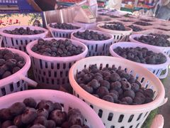 -南坛综合农贸市场