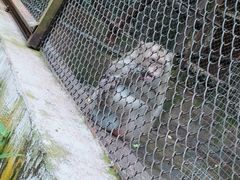 -海南热带野生动植物园