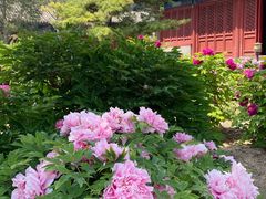 -大钟寺古钟博物馆