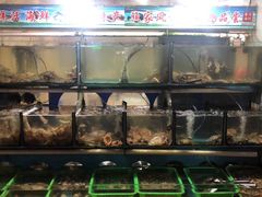 水产区-大丰收海鲜酒楼·专业餐饮30年(连云港老字号店)