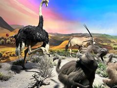 -国家自然博物馆