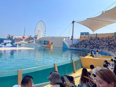 -秦皇岛乐岛海洋王国