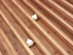 -食膳公园包子铺(烈士公园店)