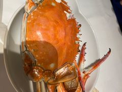 -开海·红岛海鲜虾水饺(石老人店)