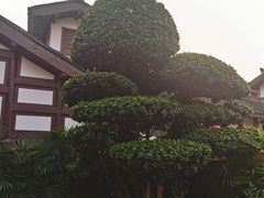 -磁器口古镇