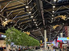 -谢列梅捷沃国际机场