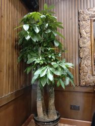 -红人馆造型世爵国际