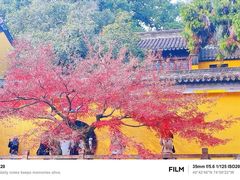-虞山风景区