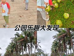 -万绿园