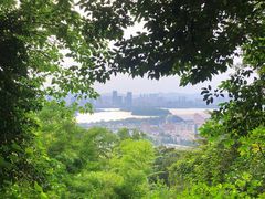 -紫金山山顶公园