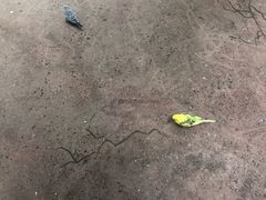 -正佳雨林生态植物园