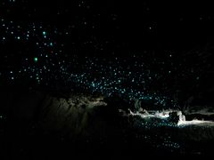 -怀托摩萤火虫洞