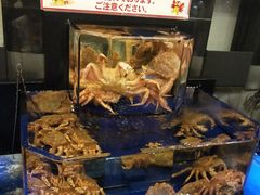 -蟹道乐(道顿堀本店)