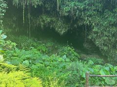 -海口火山口国家地质公园