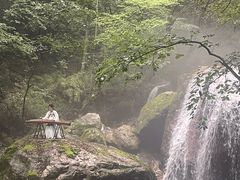 -牛背梁国家森林公园