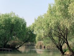 -长兴太湖图影湿地文化园