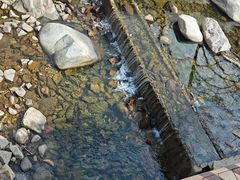 -崂山九水游览区