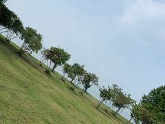 -阳澄湖半岛旅游度假区