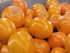 -桔子酒店(天津五大道店)