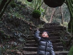 -龙湾潭国家森林公园