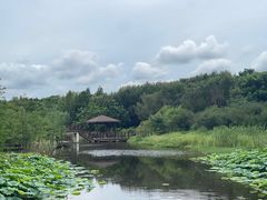 -同里国家湿地公园