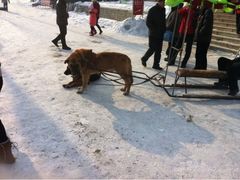 iphone_upload_pic-北山公园