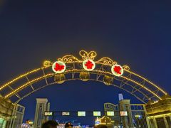 -武汉知音号