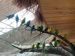 -南宫五洲植物乐园