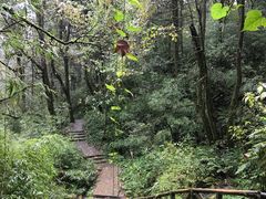 -龙苍沟森林公园