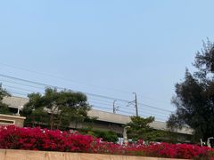 -宝安西湾红树林湿地公园