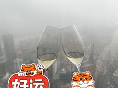 -上海柏悦酒店