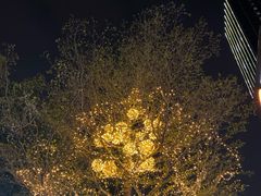 -音乐在线主题氧吧KTV(佳宁娜广场店)