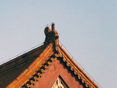 -故宫博物院(故宫)