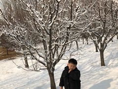 -北京亚布洛尼朝阳公园滑雪场