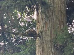 -江西阳明山国家森林公园