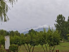 -洨河生态公园