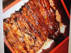 -鳗鳗的爱(远洋未来广场店)