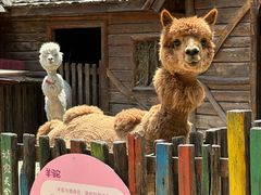-幽岚山·童话森林