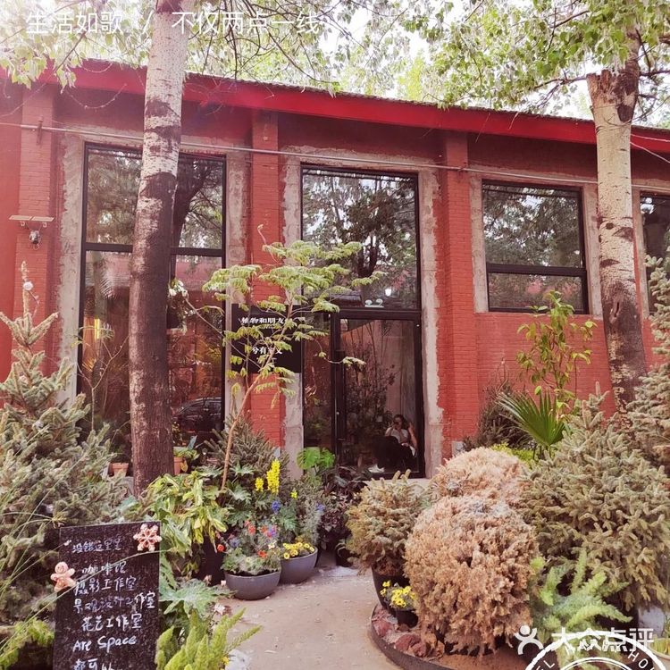 很有温度的一家小店，感觉进了植物馆了