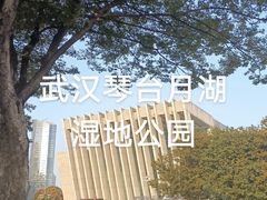 -金银湖国家城市湿地公园