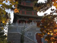 -迎泽公园