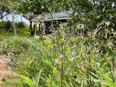 -大亚湾红树林城市湿地公园