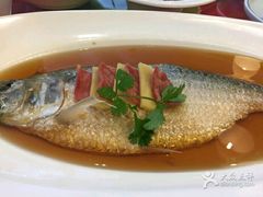 -御龙宴
