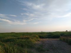 -哈素海